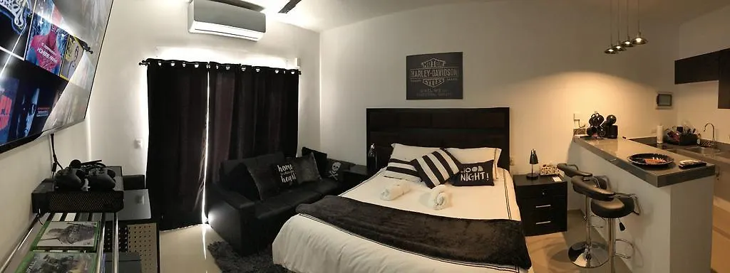 公寓 Luxury Suites At Suites 科苏梅尔 墨西哥
