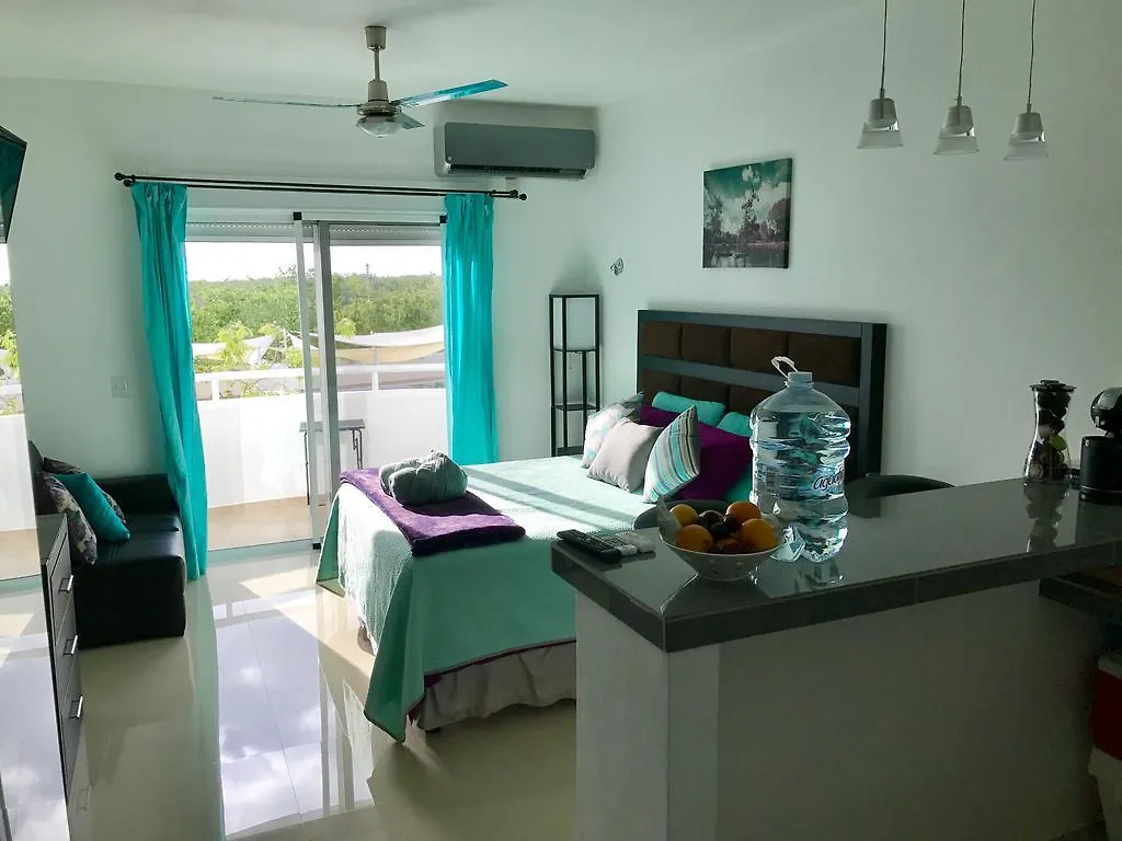 Luxury Suites At Suites 科苏梅尔 公寓
