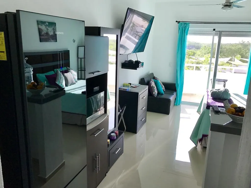 公寓 Luxury Suites At Suites 科苏梅尔 墨西哥