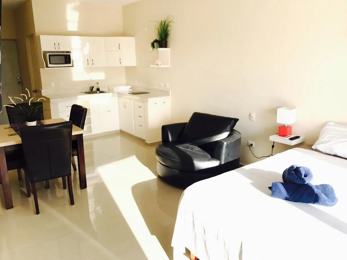 公寓 Luxury Suites At Suites 科苏梅尔 墨西哥