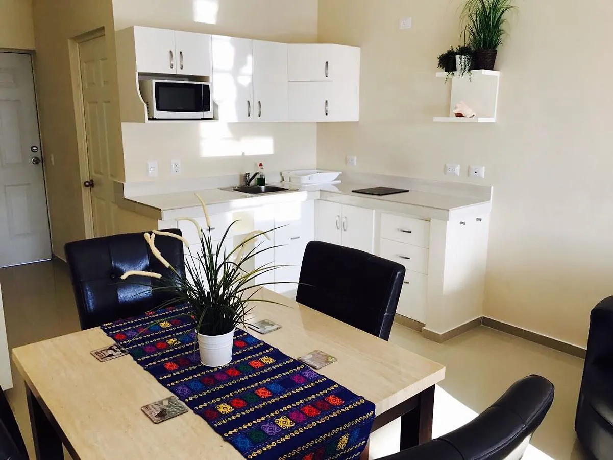 公寓 Luxury Suites At Suites 科苏梅尔