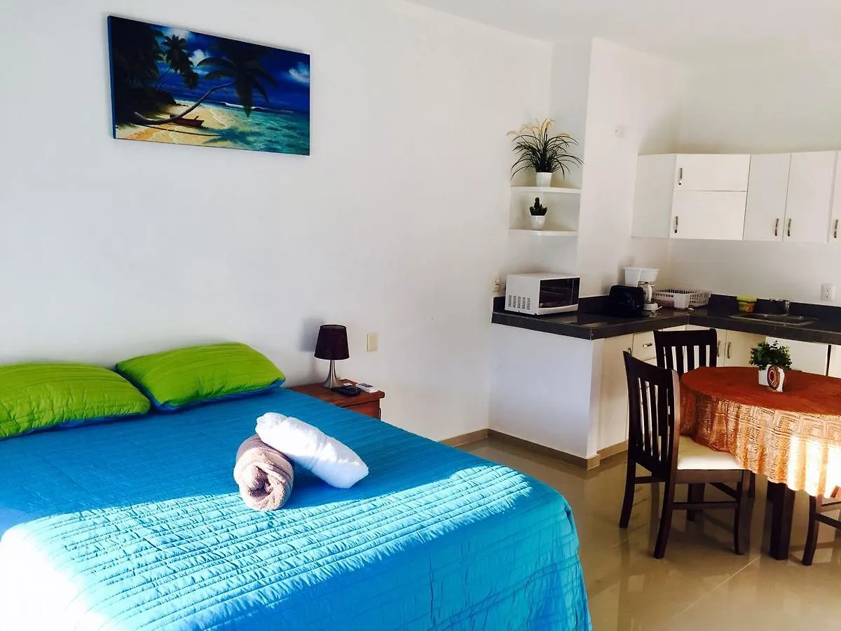公寓 Luxury Suites At Suites 科苏梅尔